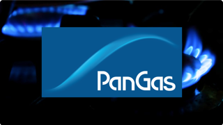 post-editing for PanGas