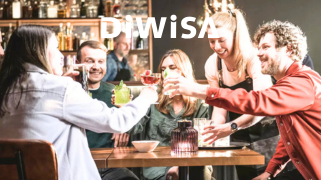 Mehrsprachige Videos für DIWISA AG