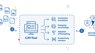 Translation management systems